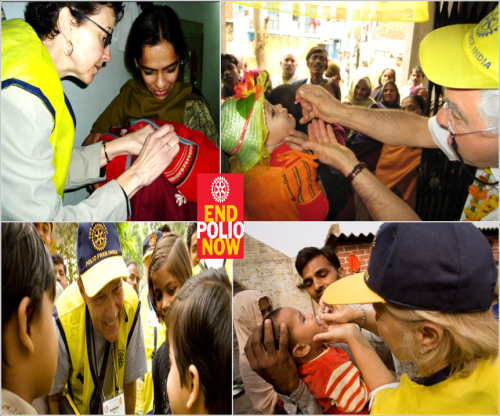 polio collage.png